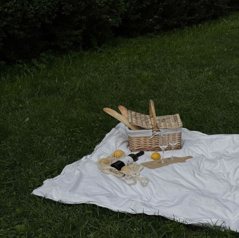 Platform Summer Picnic